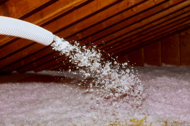 Insulation Inspection Services in Emory, TX