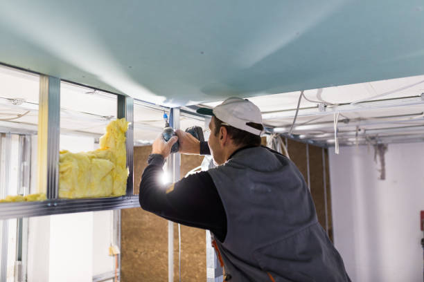 Best Fiberglass Insulation  in Emory, TX