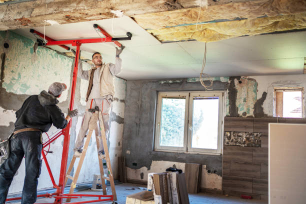Best Insulation Replacement Services  in Emory, TX
