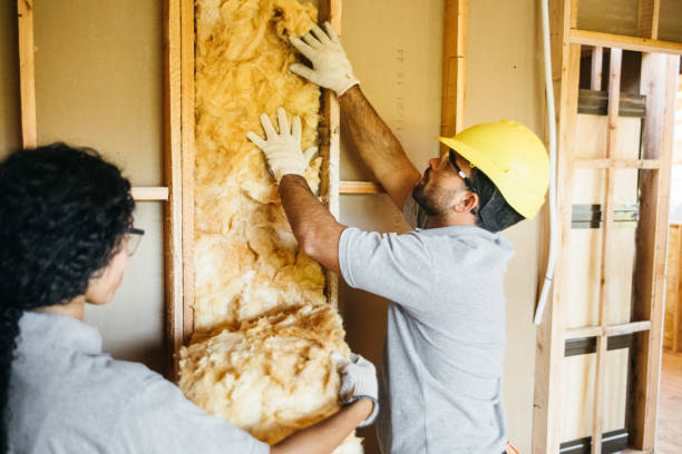 Best Spray Foam Insulation  in Emory, TX