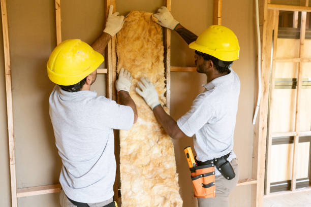 Professional Insulation Contractor in Emory, TX
