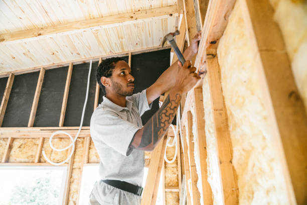 Best Local Insulation Services  in Emory, TX