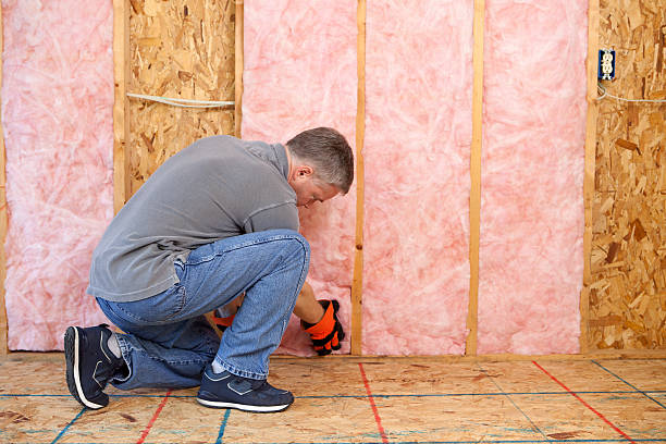 Best Home Insulation Services  in Emory, TX