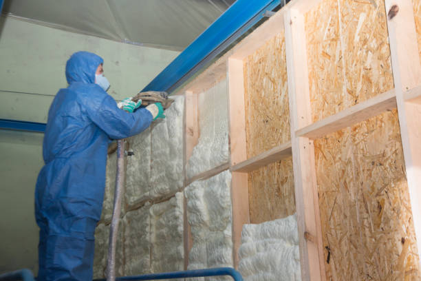 Best Garage Insulation Installation  in Emory, TX