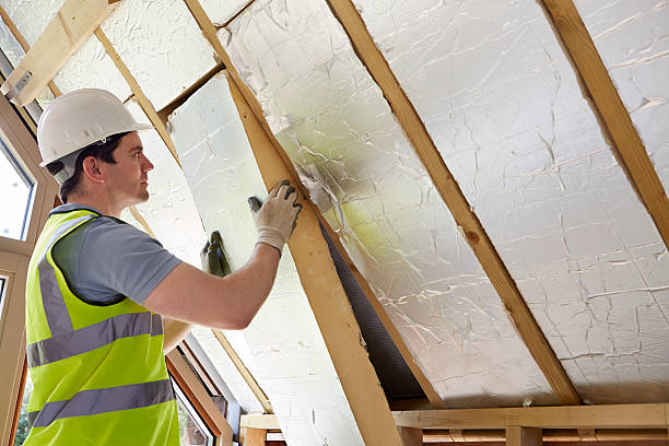 Best Insulation Contractors for Homes  in Emory, TX