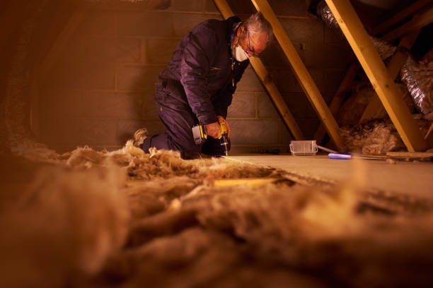 Best Soundproof Insulation Installation  in Emory, TX