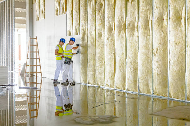 Best Wall Insulation Contractor  in Emory, TX